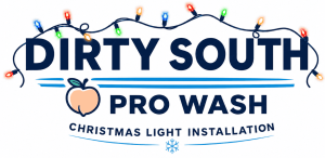 Dirty South Pro Wash
