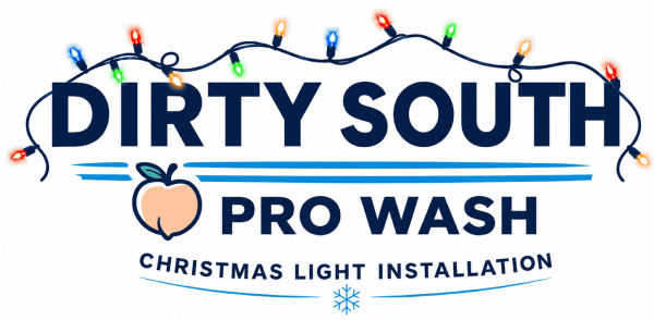 Dirty South Pro Wash